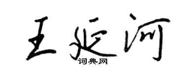 王正良王延河行书个性签名怎么写