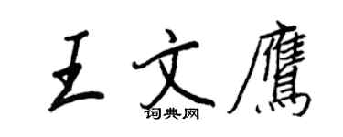 王正良王文鹰行书个性签名怎么写