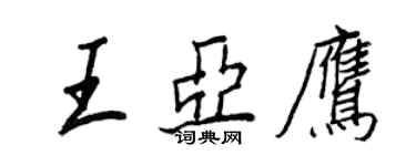 王正良王亚鹰行书个性签名怎么写