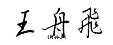 王正良王舟飞行书个性签名怎么写