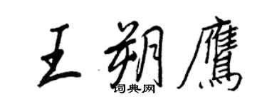 王正良王朔鹰行书个性签名怎么写