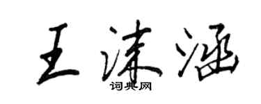 王正良王沫涵行书个性签名怎么写