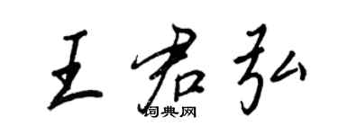 王正良王君弘行书个性签名怎么写