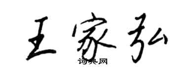 王正良王家弘行书个性签名怎么写