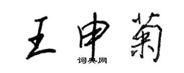 王正良王申菊行书个性签名怎么写