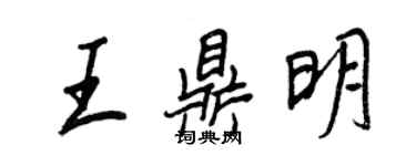 王正良王鼎明行书个性签名怎么写