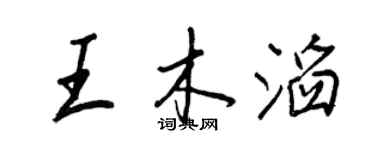 王正良王木滔行书个性签名怎么写