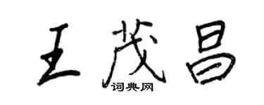 王正良王茂昌行书个性签名怎么写