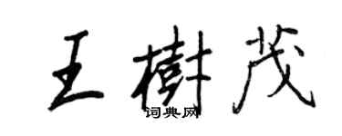 王正良王树茂行书个性签名怎么写