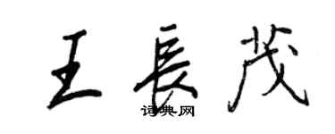 王正良王长茂行书个性签名怎么写