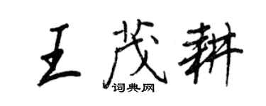 王正良王茂耕行书个性签名怎么写