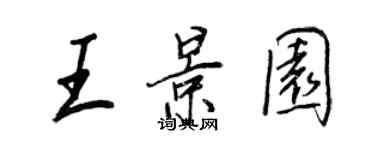 王正良王景园行书个性签名怎么写