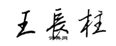 王正良王长柱行书个性签名怎么写