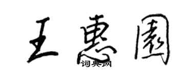 王正良王惠园行书个性签名怎么写