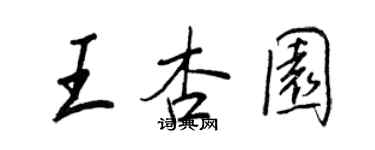 王正良王杏园行书个性签名怎么写