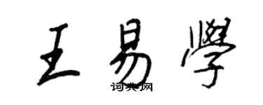 王正良王易学行书个性签名怎么写