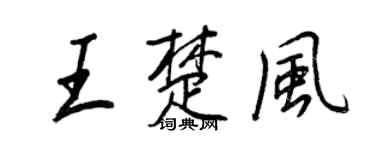王正良王楚风行书个性签名怎么写