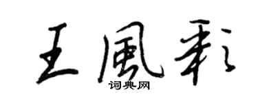 王正良王风彩行书个性签名怎么写