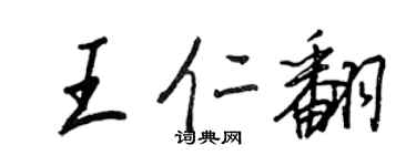 王正良王仁翻行书个性签名怎么写
