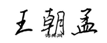 王正良王朝孟行书个性签名怎么写