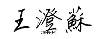 王正良王澄苏行书个性签名怎么写