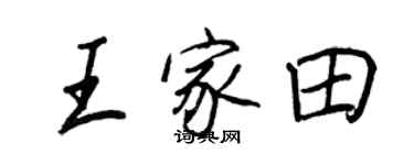 王正良王家田行书个性签名怎么写
