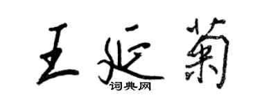 王正良王延菊行书个性签名怎么写