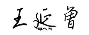 王正良王延曾行书个性签名怎么写