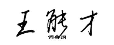 王正良王能才行书个性签名怎么写