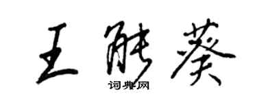 王正良王能葵行书个性签名怎么写