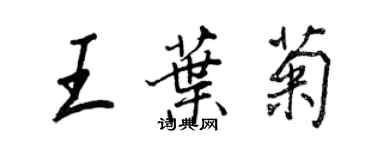 王正良王叶菊行书个性签名怎么写