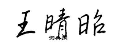 王正良王晴昭行书个性签名怎么写