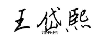 王正良王岱熙行书个性签名怎么写