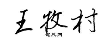 王正良王牧村行书个性签名怎么写