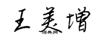 王正良王美增行书个性签名怎么写
