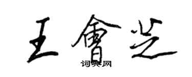 王正良王会芝行书个性签名怎么写