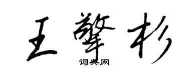 王正良王擎杉行书个性签名怎么写
