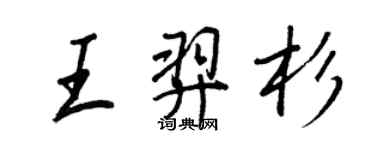 王正良王羿杉行书个性签名怎么写