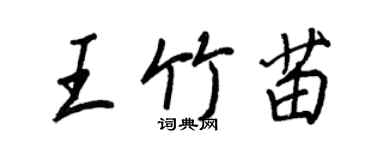 王正良王竹苗行书个性签名怎么写