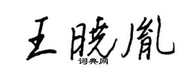 王正良王晓胤行书个性签名怎么写