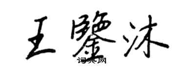王正良王鉴沐行书个性签名怎么写