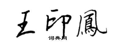 王正良王印凤行书个性签名怎么写