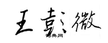 王正良王彭微行书个性签名怎么写