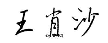 王正良王肖沙行书个性签名怎么写