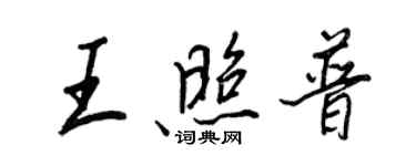 王正良王照普行书个性签名怎么写