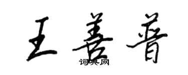 王正良王善普行书个性签名怎么写