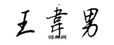 王正良王韦男行书个性签名怎么写