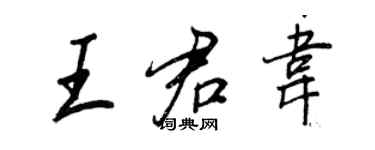 王正良王君韦行书个性签名怎么写
