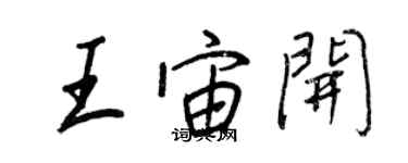 王正良王宙开行书个性签名怎么写