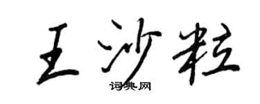 王正良王沙粒行书个性签名怎么写